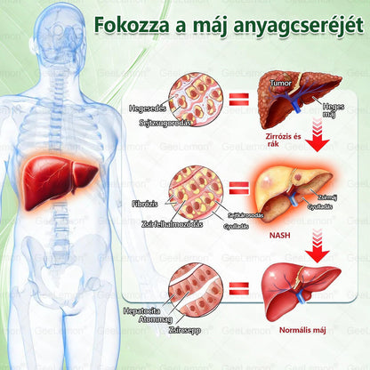 50% KEDVEZMÉNY ❤️ GeeLemon® Glumasetide 8 az 1-ben Nano Mikrotűs Tapasz | Moringa · Berberine · NAD+ | Napi 1× | Csak most!